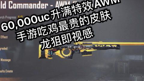 pubg国际服皮肤爆料最新,最新Pubg国际服皮肤爆料，潮流元素一网打尽！